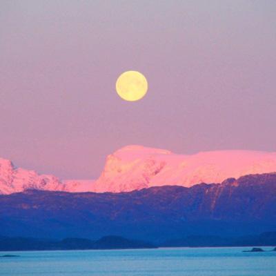 开云电竞手机app下载