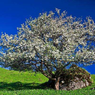 半岛·综合体育app下载