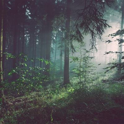 半岛·综合体育app下载